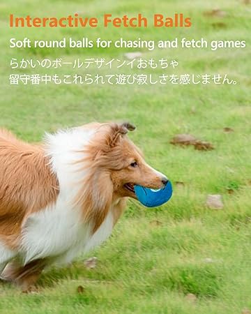 犬おもちゃ - 画像 (2)